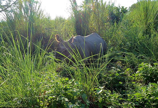 Circuito completo del Nepal con guía en español